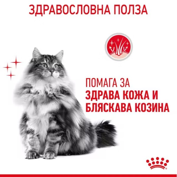 Royal Canin Hair and Skin in Gravy - Пълноценна мокра храна за котки над 12 месеца за подпомагане за здрава кожа и бляскава козина
